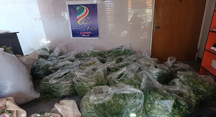 خدمات حمایتی مهرماه سال1404، شعب بنیاد بین‌المللی خیریه آبشار عاطفه‌ها