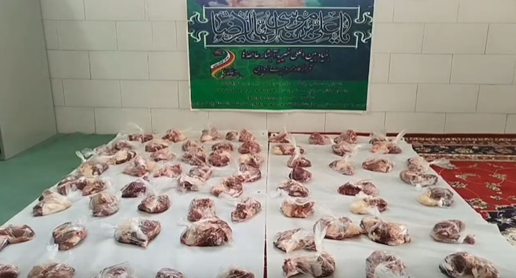 بنیاد بین‌المللی خیریه آبشار عاطفه‌ها، مرداد ماه سال1404، خدمات ماه صفر