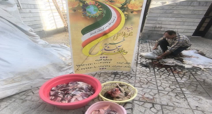 بنیاد بین‌المللی خیریه آبشار عاطفه‌ها، خرداد ماه سال 1405، عید قربان، خدمات شعب سرتاسر کشور