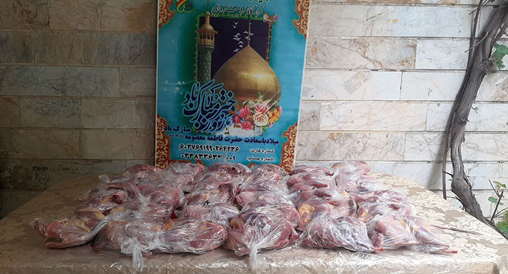 ولادت حضرت فاطمه معصومه(س)، اردیبهشت ماه سال1404، خدمات شعب بنیاد بین‌المللی خیریه آبشار عاطفه‌ها