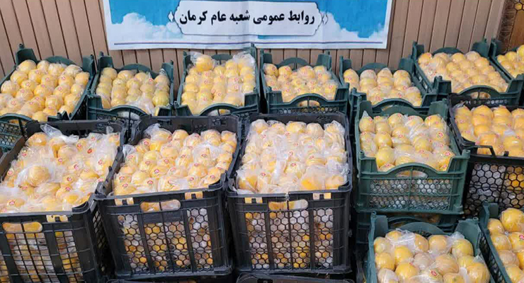 جشن ولادت امام رضا(ع)، شعب بنیاد بین‌المللی خیریه آبشار عاطفه ها در کشور، اردیبهشت ماه سال1404، با حضور مدیرعامل بنیاد بین‌المللی خیریه آبشار عاطفه ها 