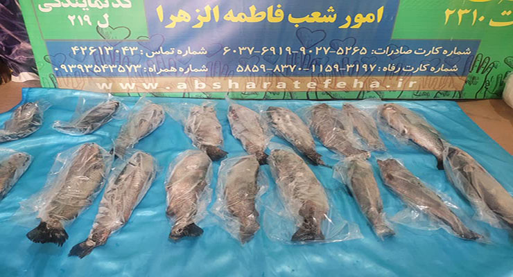 خدمات حمایتی ویژه دهه‌ی دوّم و سوّم محرّم، تیرماه سال1404، شعب بنیاد بین‌المللی خیریه آبشار عاطفه‌ها