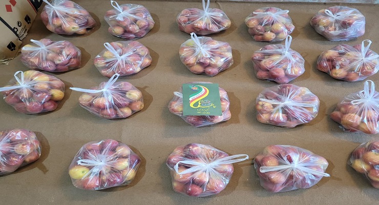 دی ماه سال1404، جشن و خدمات شب یلدا، یلدای فاطمی، شعب سراسر کشور بنیاد بین‌المللی خیریّه آبشار عاطفه‌ها